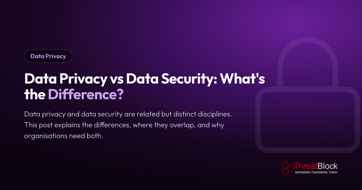 Data Privacy vs Data Security: What's the Difference?