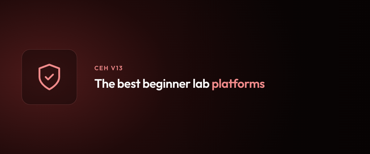 The best beginner lab platforms
