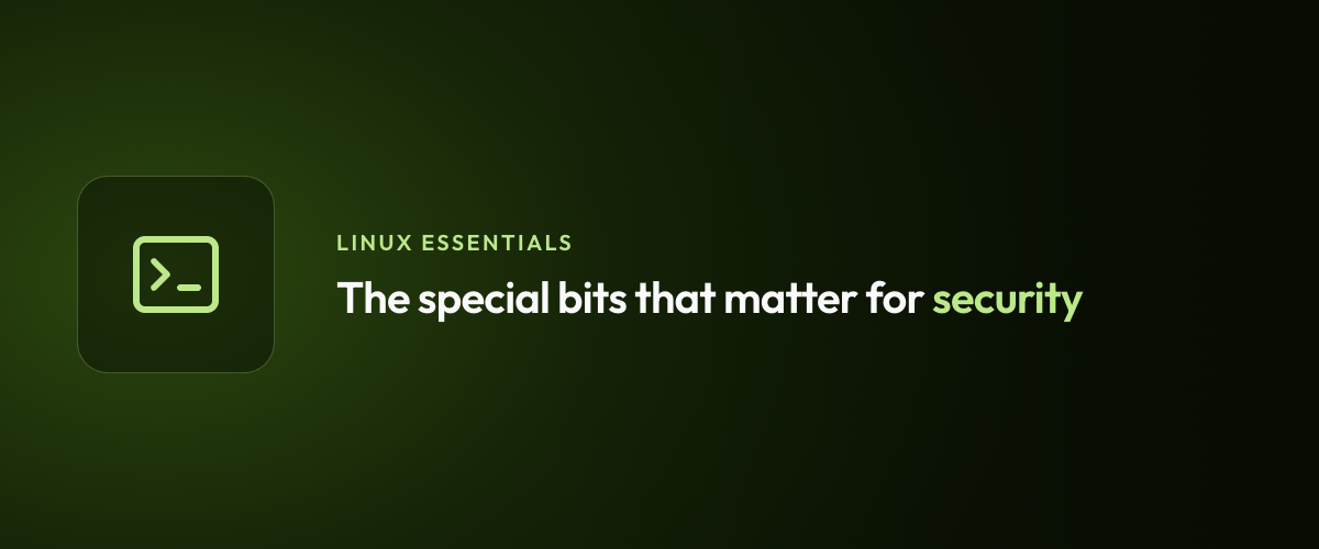 The special bits that matter for security